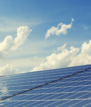 img-sustainability-renew