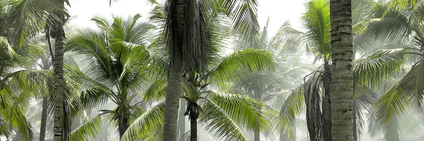 forestry agriculture